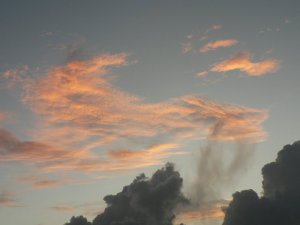 A dragon appeared in the sky before sunrise.
