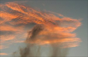 The dragon up close.